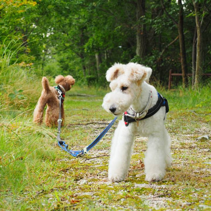 Fbf40c31 bdb9 4614 9385 fd669d949f42 1531262195985