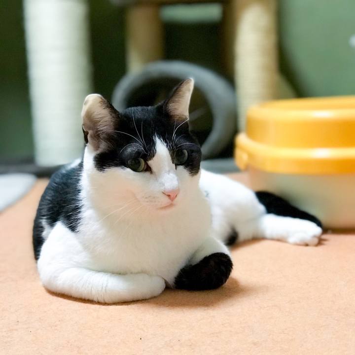 Fbf4301d 3dae 4f5b 8c08 b1a4f8345d31 1525916728555