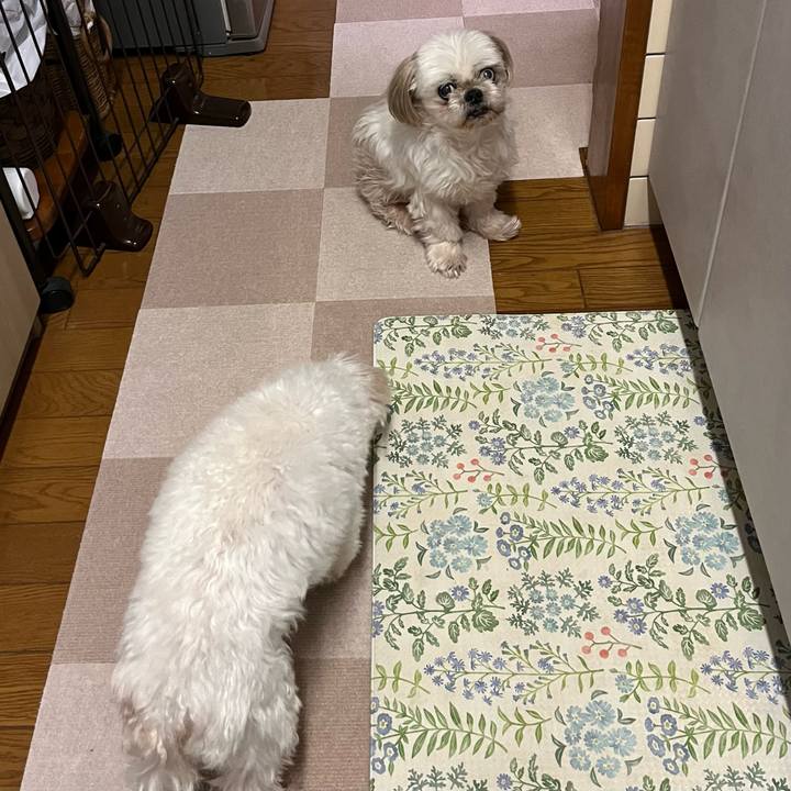 Fbf46cab 67e9 45db baa1 ac53eb17945b 1669415632325