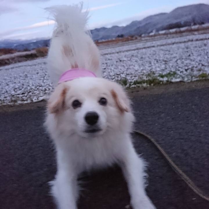 Fbf47b33 ddf5 45fb 9975 8d7270020a48 1512509042182