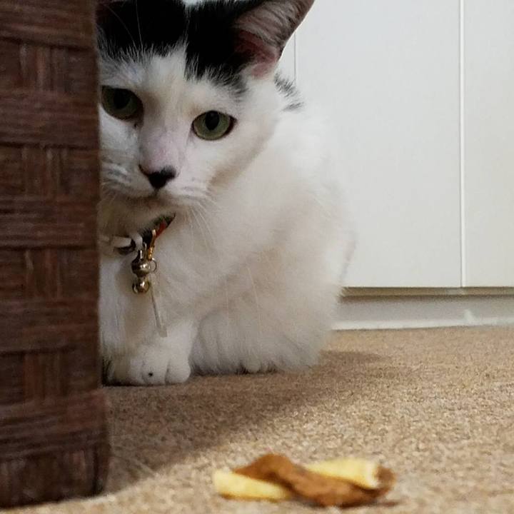 Fbf4bd89 6396 4c95 b728 eae149b42ce3 1508433530299