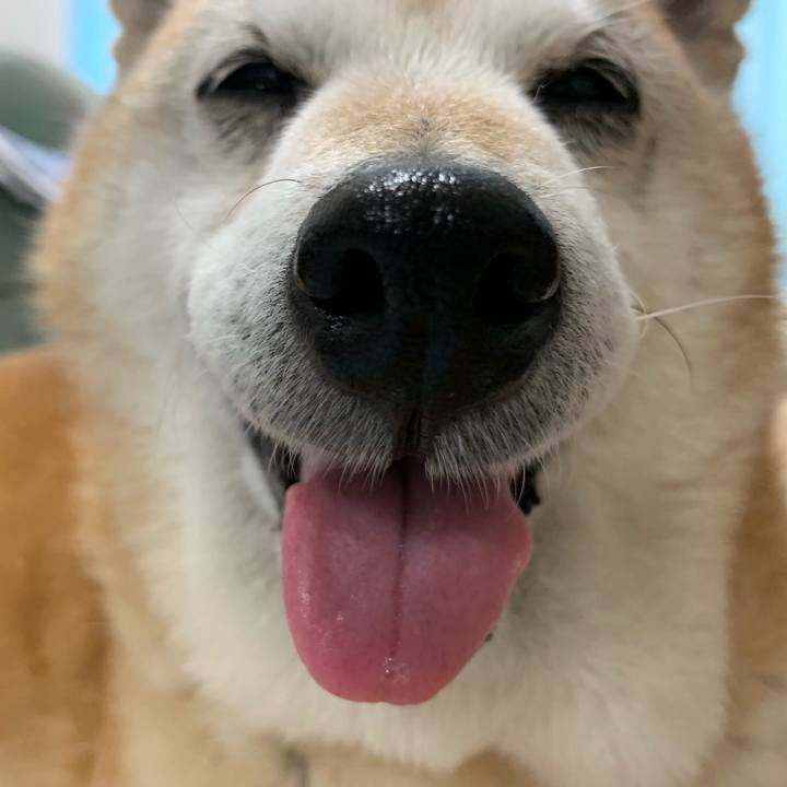 Fbf4be6b 72b6 4bc8 81fc 6a11ce904b3f 1561074338061