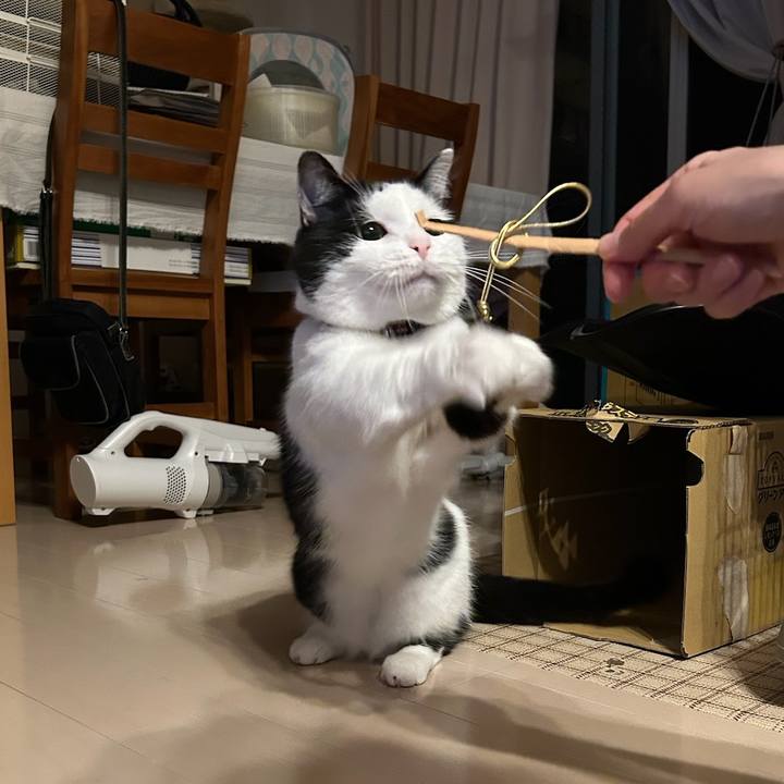 Fbf4ce72 e20e 4e2e bd7c 15d0d31862a3 1759446685959