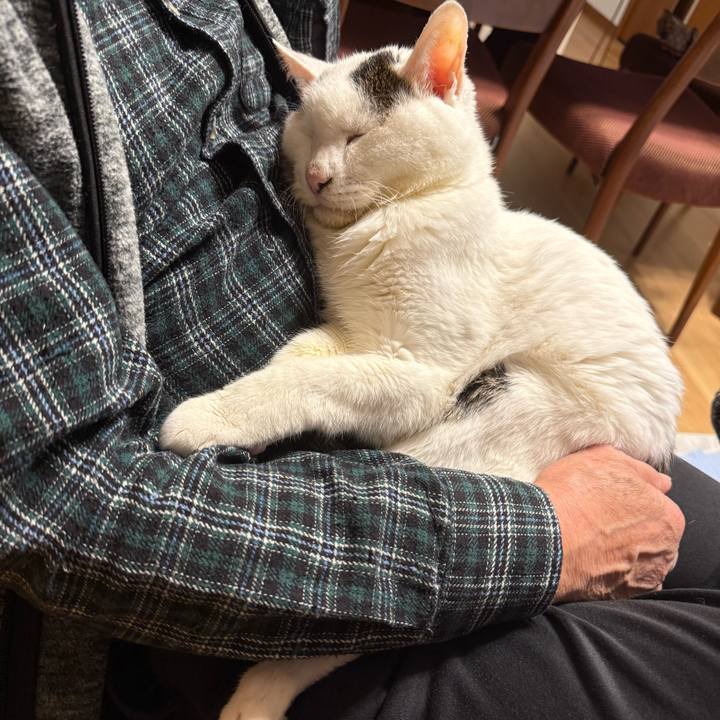 Fbf50174 2ad7 40aa 9618 a04b270ed5ae 1763029312464