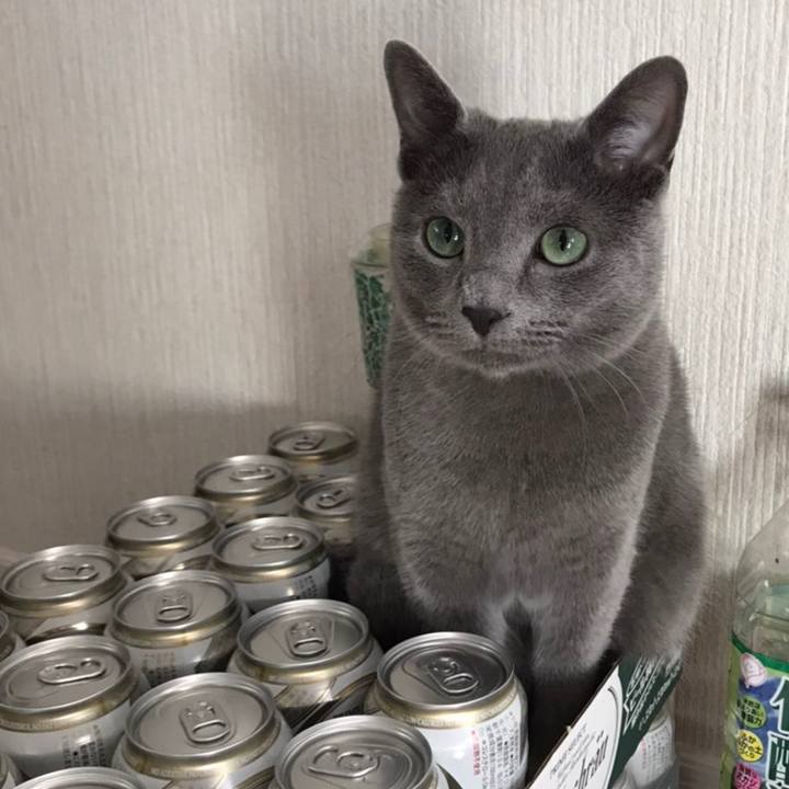 Fbf5418b 3c2a 478e aa35 0932b2548af3 1584051044469