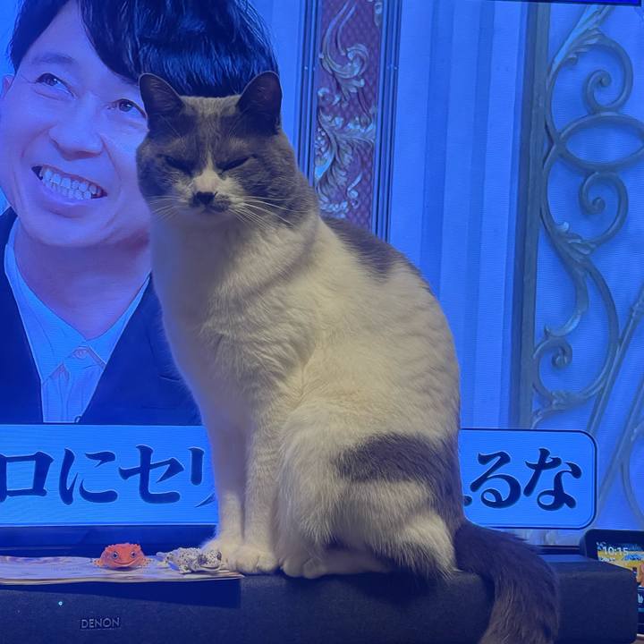 Fbf556a4 6714 42b0 bffc 87e543c7454d 1707398172445