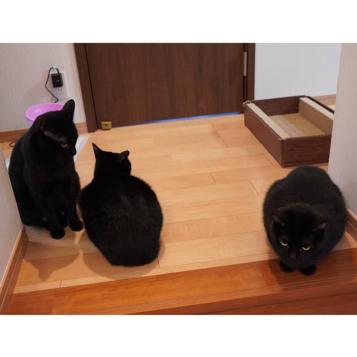 Fbf5596b 07de 4e4d a5f3 40d3d6e305a5 1585785158137