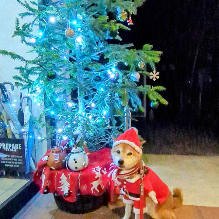 Fbf58cc5 a184 4522 8213 cdc70192692f 1766120856036