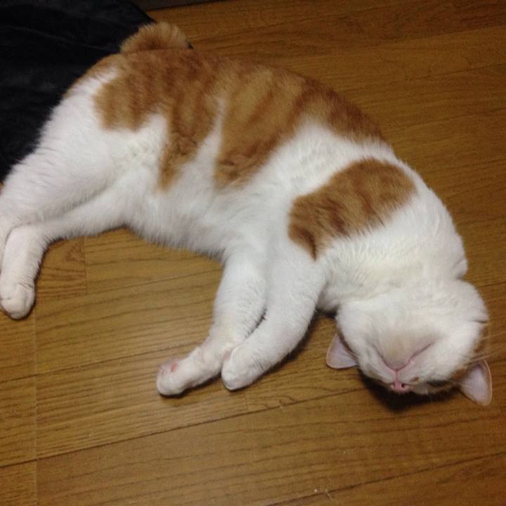 Fbf596ca 4738 4465 a4e9 55b019935873 1533043766853