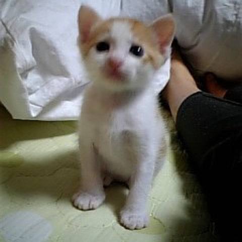 Fbf5a03a ef63 41f2 b2fe 5b9992708919 1680027909020