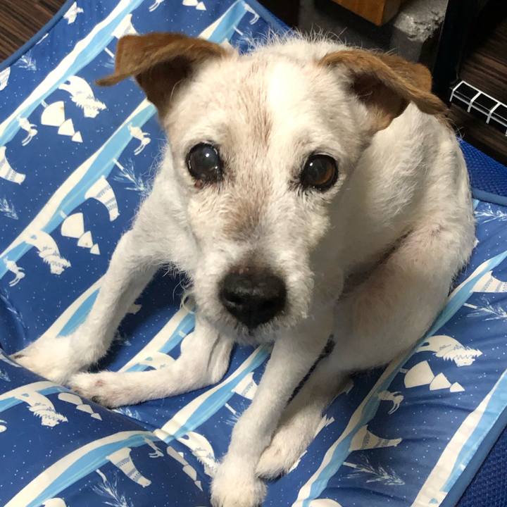 Fbf5d8f0 263b 4765 844d 098f5a28ce74 1658237394648