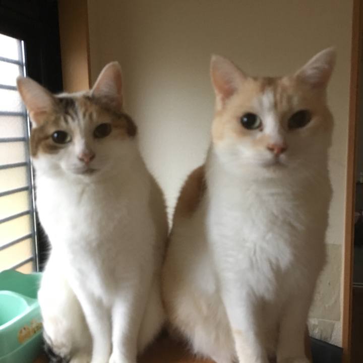 Fbf5e0f0 bb73 4031 807e 982a9142bfdd 1508756983785