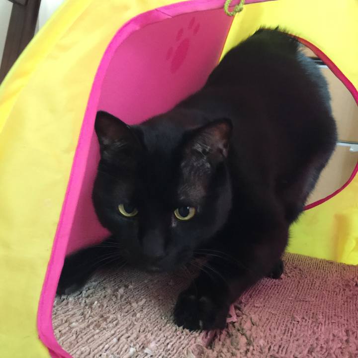 Fbf6017f 0896 46e4 a264 0e983493a7bb 1550913190583