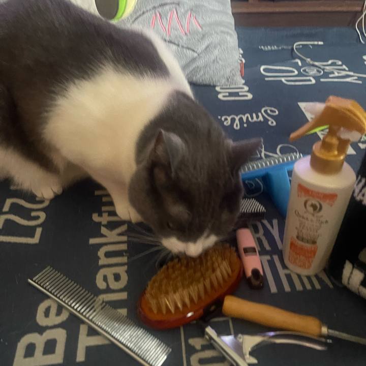 Fbf60307 abff 44fa b24f 24a3adaa933c 1728179730729