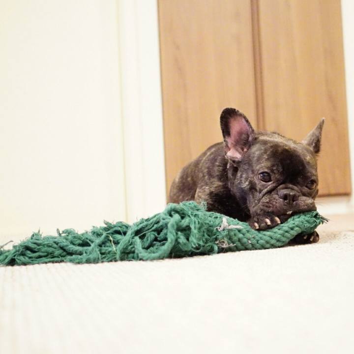 Fbf678e5 776e 4af6 acf6 7c578c8d167c 1533645424766