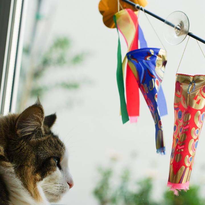 Fbf6b01b 2d4f 44b7 ad38 719c6ab6ee24 1617165636750