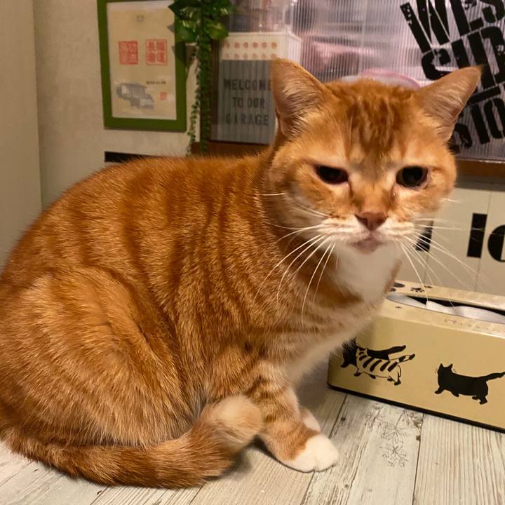 Fbf6b698 5d2b 4550 b5eb 516837eb75ca 1585018086487