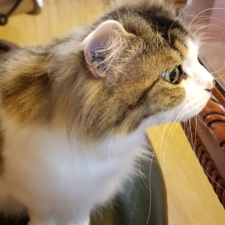 Fbf6d1bd d076 41b2 8d51 25615948f083 1592458210681