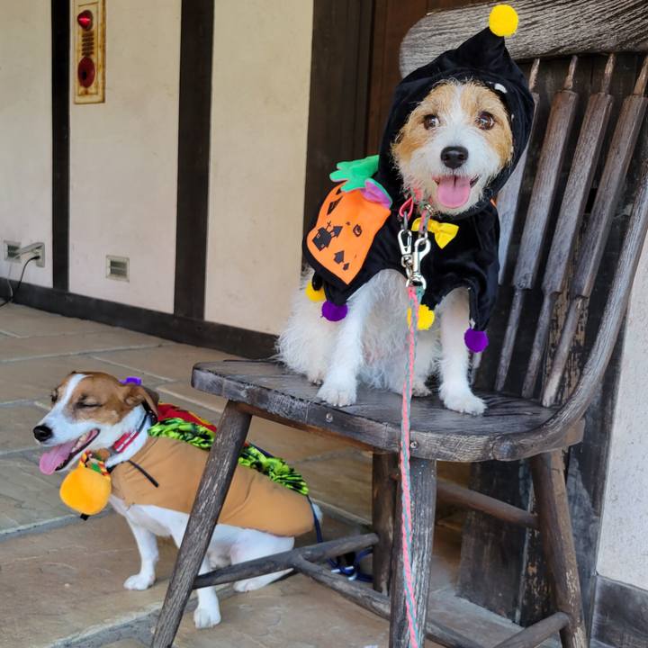 Fbf6e200 e3c3 41bc 9d55 0f10d33251b8 1665913261498