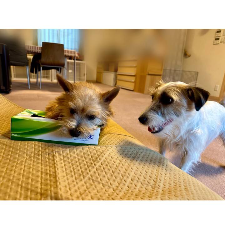 Fbf6e5f2 2f83 4960 a4e8 f2452ef415bc 1712067337804