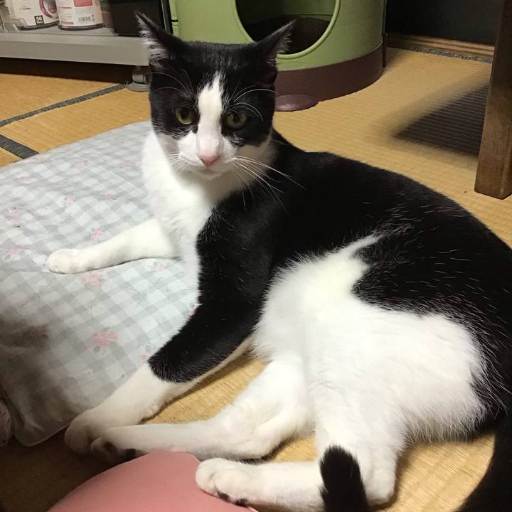 Fbf6f39a 13e4 45bf 984d 9efb1b2f9c30 1687957567579