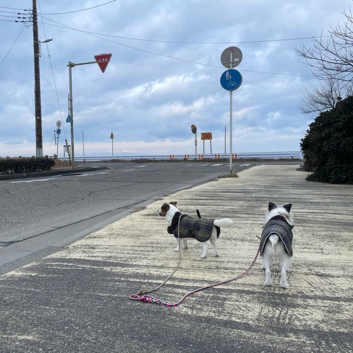 Fbf70e65 80a7 443b a80b 14831b1aaee4 1741390592914