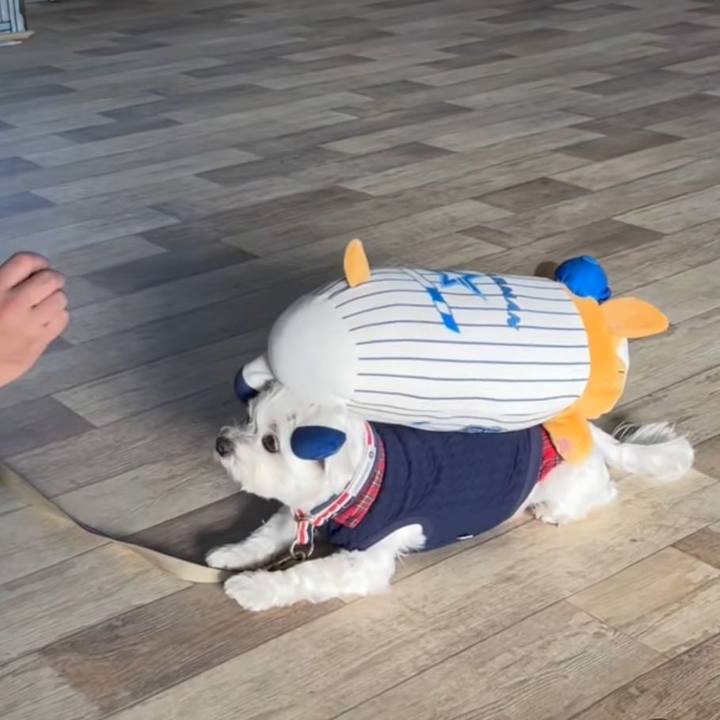 Fbf710d1 ef44 456c a5b8 32232cbc4ae5 1673385581972