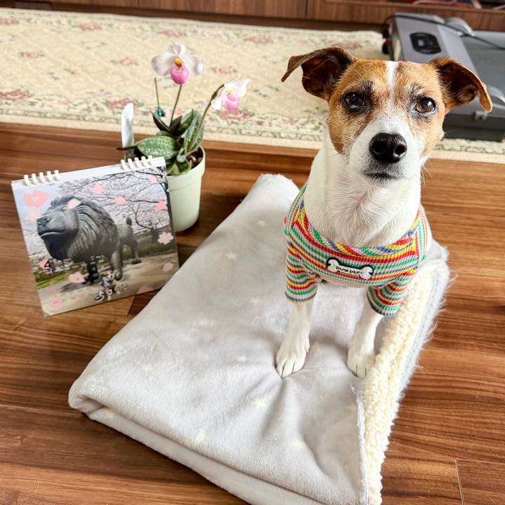 Fbf728c2 2696 4afd b230 ad165e102263 1775101333158