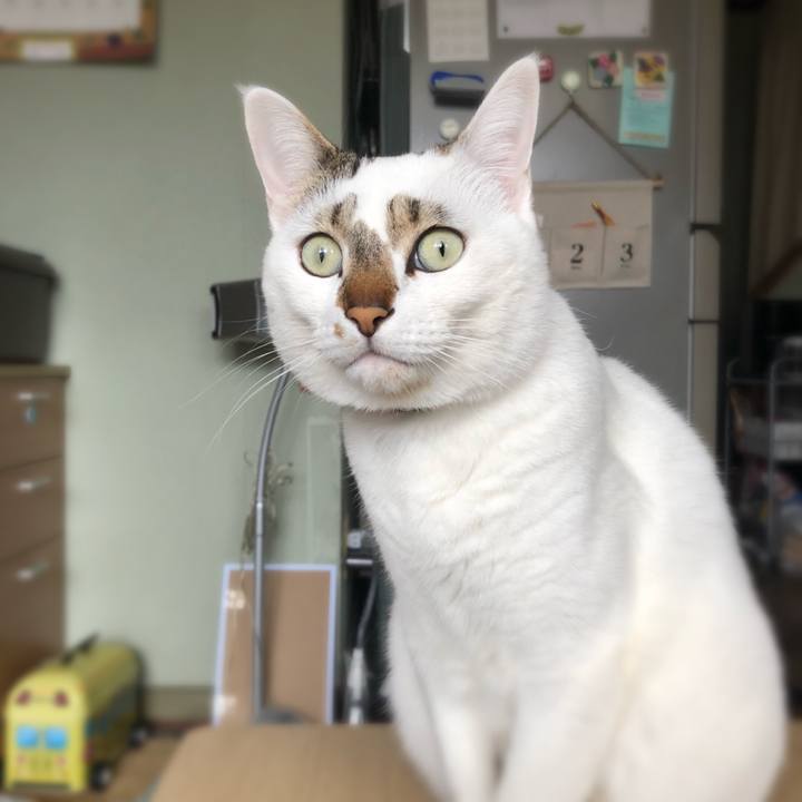 Fbf72a3f be9f 42c2 af02 205e2ddee151 1520732164849