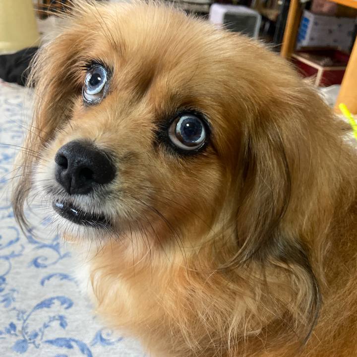 Fbf72b82 94d8 49b2 8ddd 4185678cfa64 1628899264061