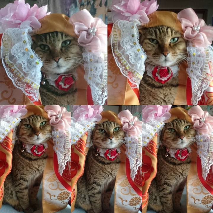 Fbf7553c 5669 4b86 9bda dea2d92be709 1767400039801