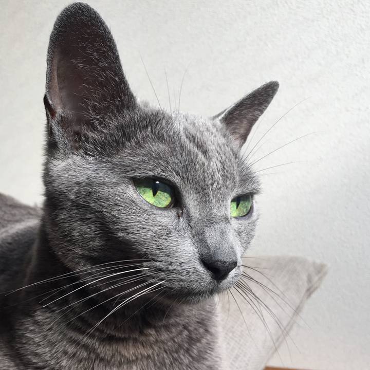 Fbf783a5 3886 4eff 93e7 51927f448400 1573176496078