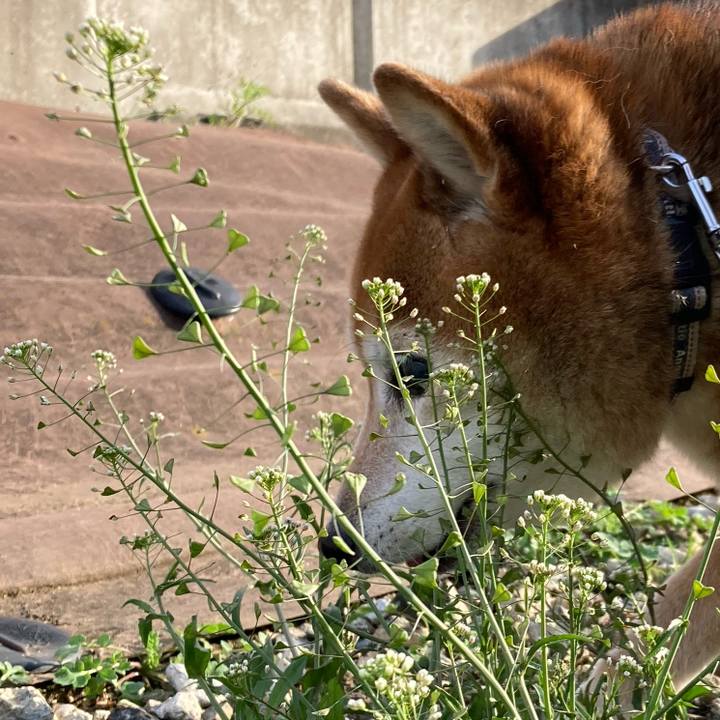 Fbf784b8 1ad5 49de af2c 14d0710e0ca2 1711801209617