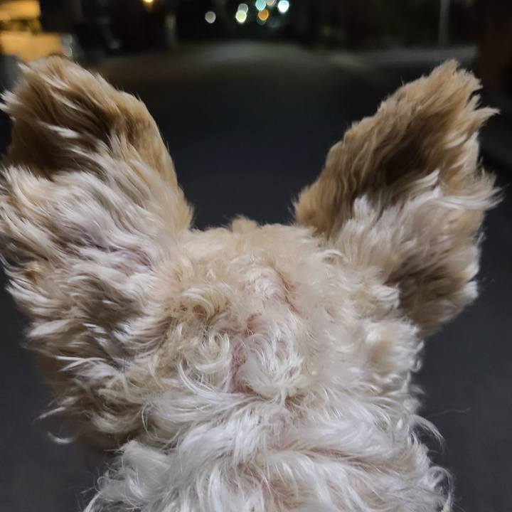 Fbf7cf5a 2379 4a8f b344 86e152d7733a 1674089080871