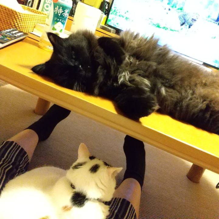 Fbf7cfd8 b11b 4856 8c91 ff954bc6f01e 1595941788903