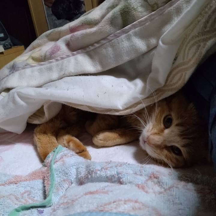 Fbf81111 a666 4738 b8a2 074a47fbf4ac 1680991966166