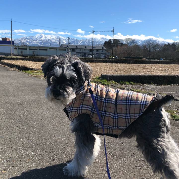 Fbf83c86 ff1d 4e2e a9db e85b57ee2a83 1708261251427