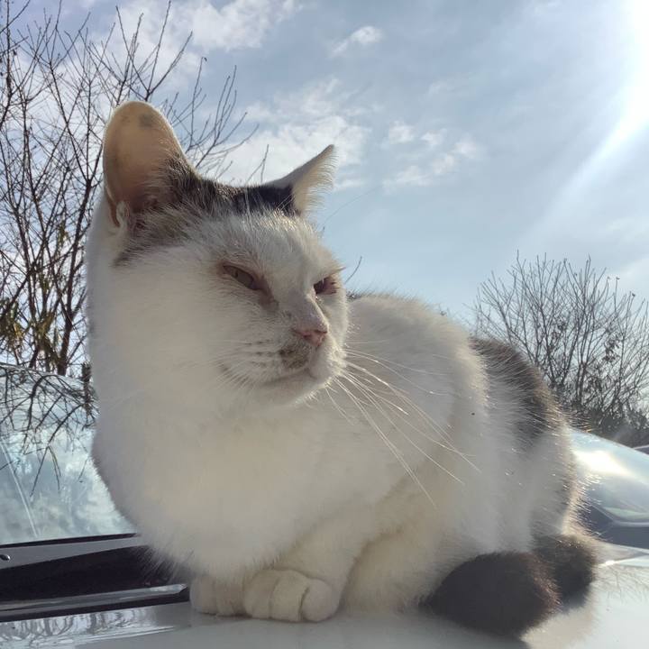 Fbf85c74 71dc 4fd5 bf41 f98e99c50f47 1578038494428