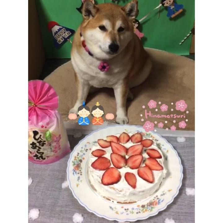 Fbf8b38e 0c8f 4331 9072 e8f93903926a 1646261484395