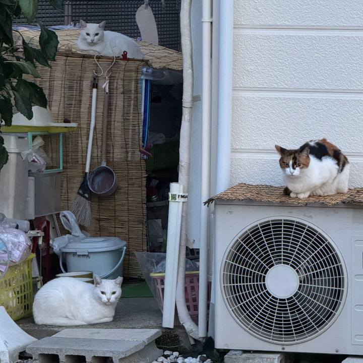 Fbf8c6c0 012d 4c80 a908 cf847f8d1f82 1756435885772