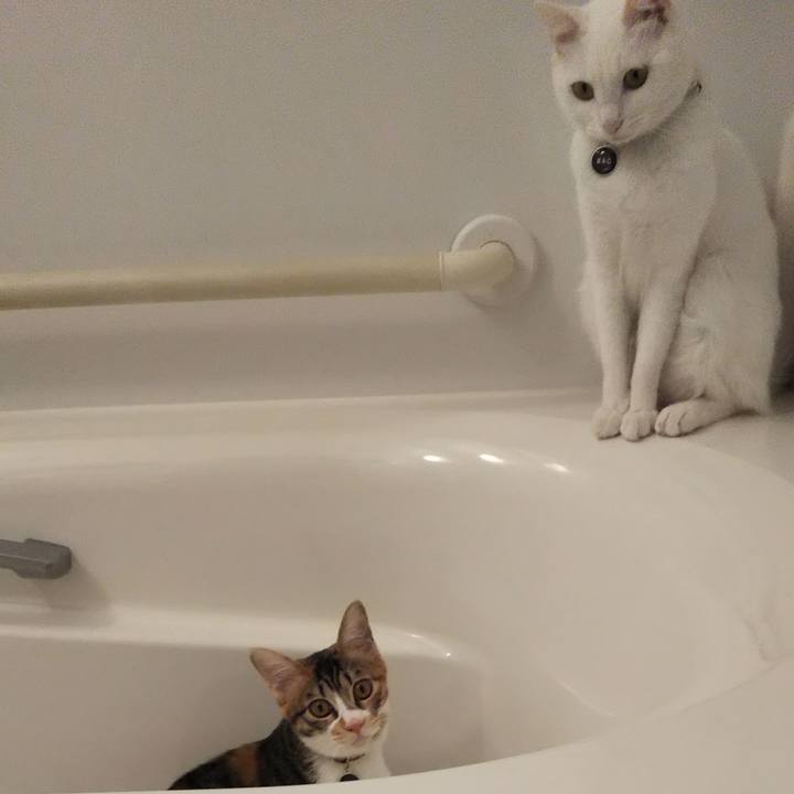 Fbf8f4ad 7082 4ce3 a408 5d27c44612d2 1638769427112