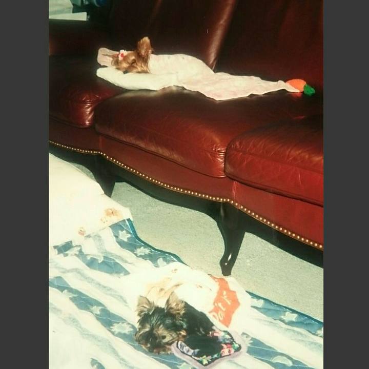 Fbf902c4 2aae 45a1 b927 7a82e93a364d 1543630994953