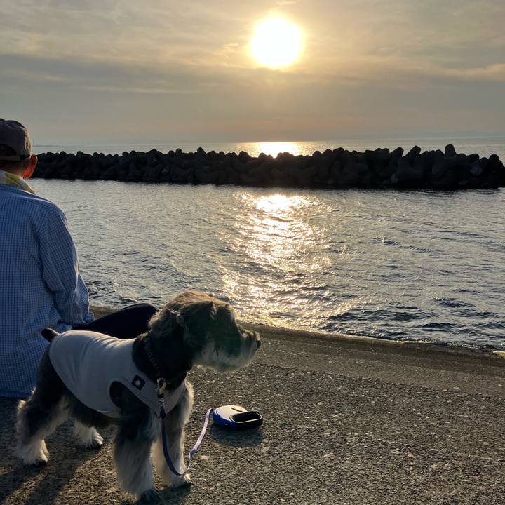 Fbf903c5 f648 4b92 80bc d1c8a6de6a08 1715475272156