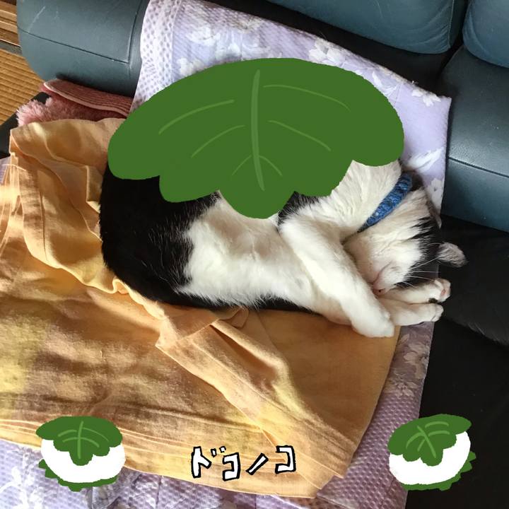 Fbf913bb 8f43 4cb1 ae22 a118a8cc3e93 1749688729334