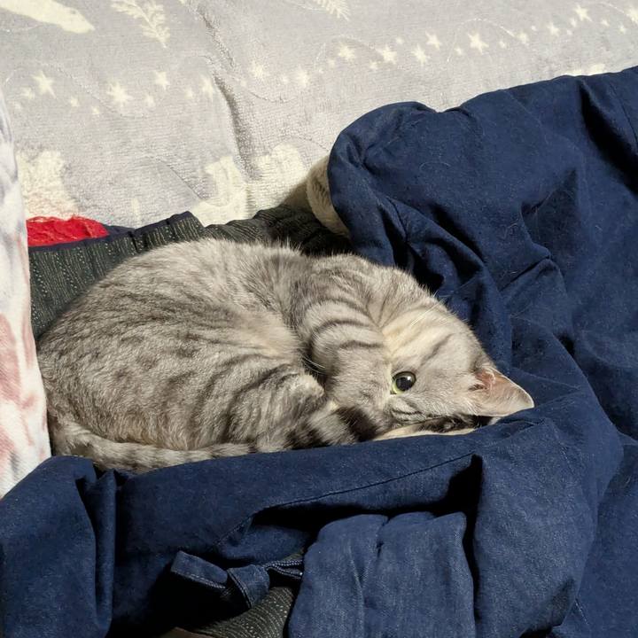 Fbf9161c 98c1 453f b719 fab744e7d06b 1765165563203