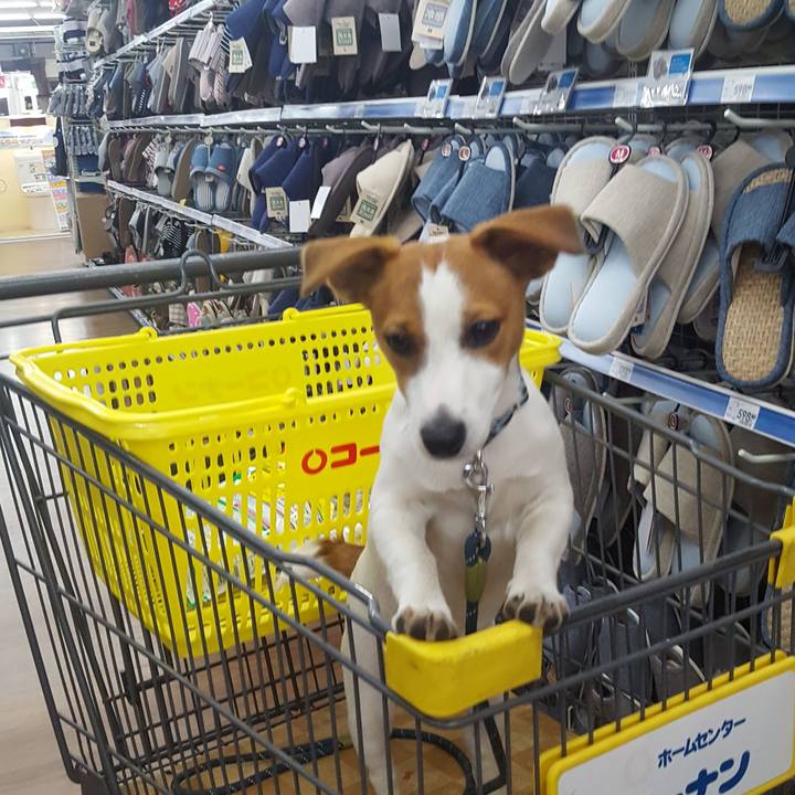 Fbf959e6 0e40 41da 8fe4 e31812b24bd0 1558345796347