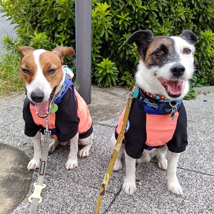 Fbf96093 488c 499e 8514 07dcacf1c9e4 1632262099079