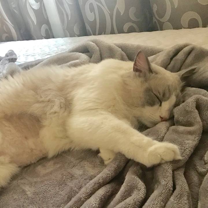 Fbf96532 440a 4139 9373 09e6dad5355c 1571446517444