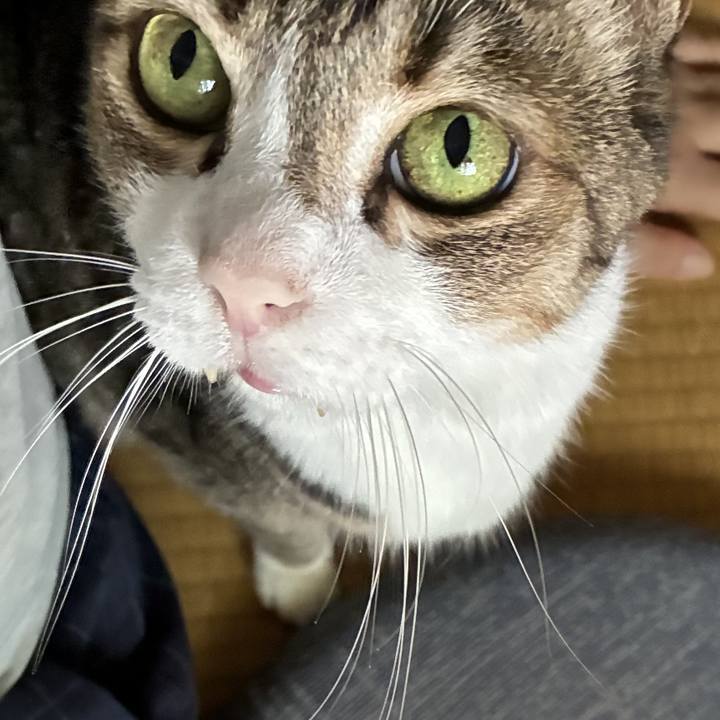 Fbf99fae 0b20 472d b00b 4c965a9230dd 1757765066331