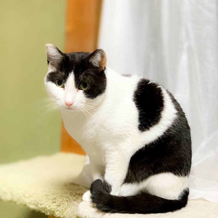 Fbf9b8d4 43cb 46fb 96a9 4e8c66cd3800 1591925456756